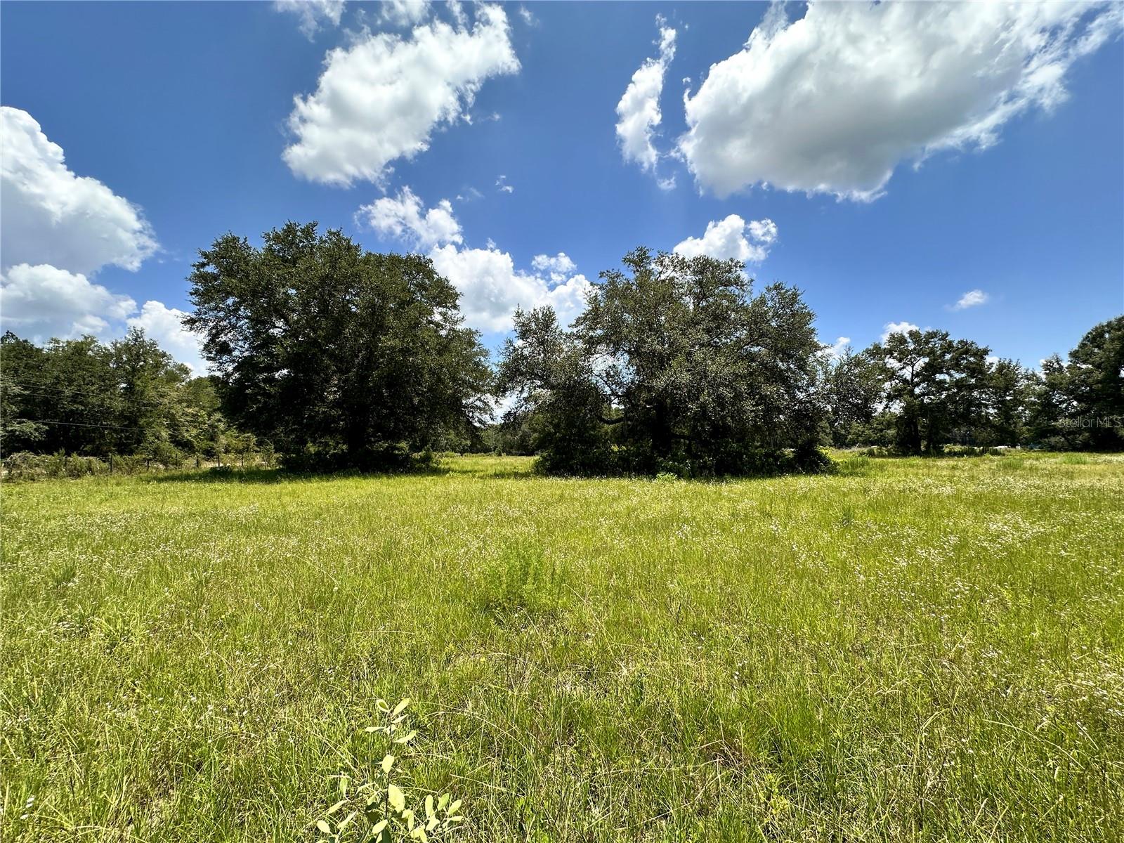 265 Sw Skyline Loop Property Photo 37