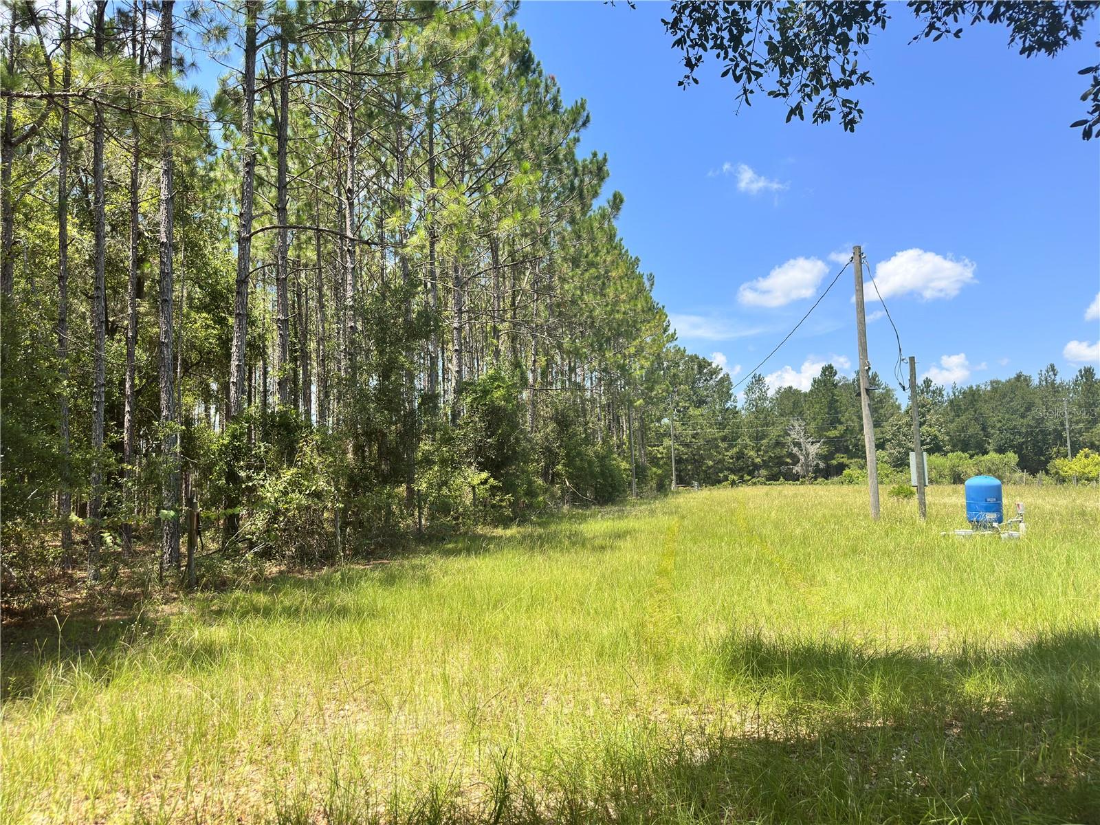265 Sw Skyline Loop Property Photo 52