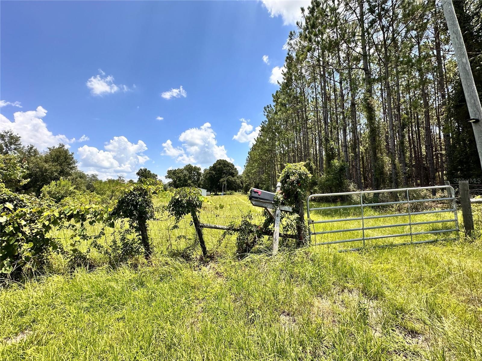 265 Sw Skyline Loop Property Photo 57