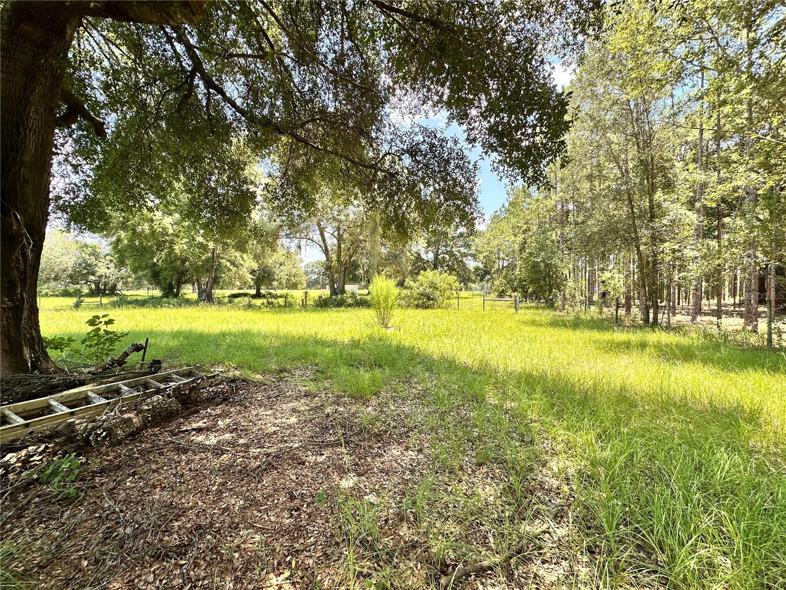 265 Sw Skyline Loop Property Photo 73