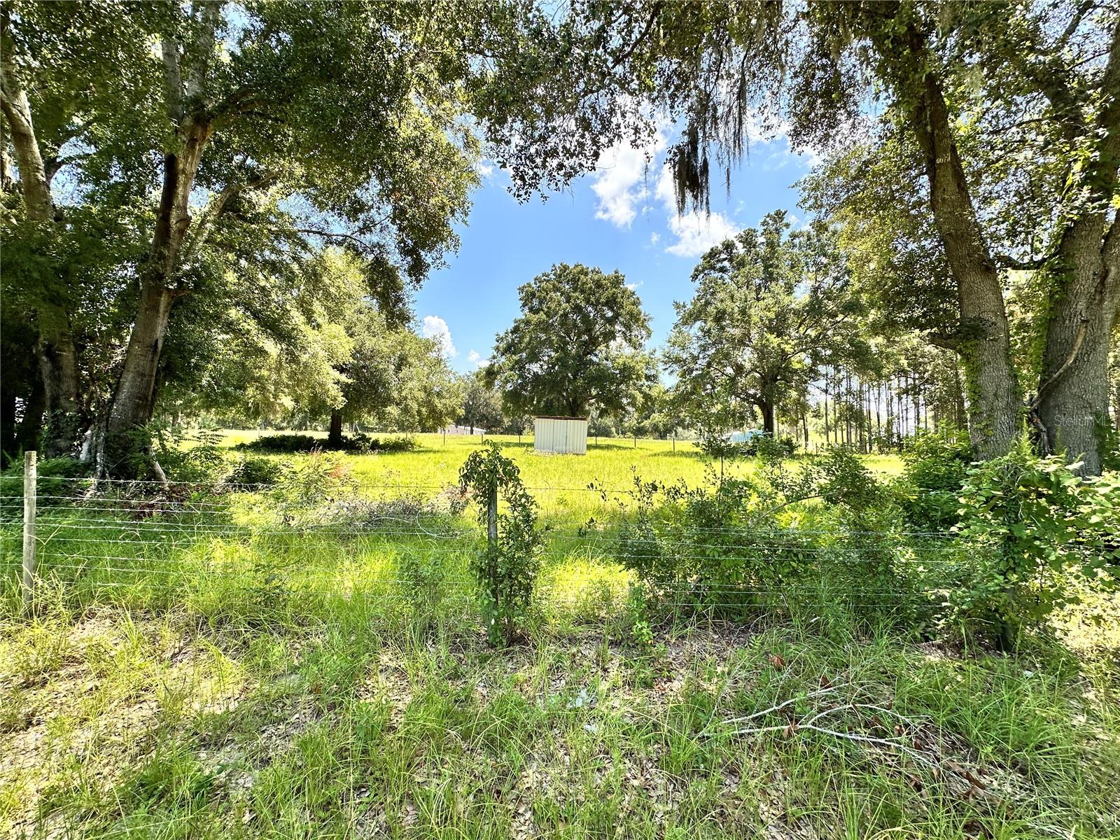 265 Sw Skyline Loop Property Photo 74