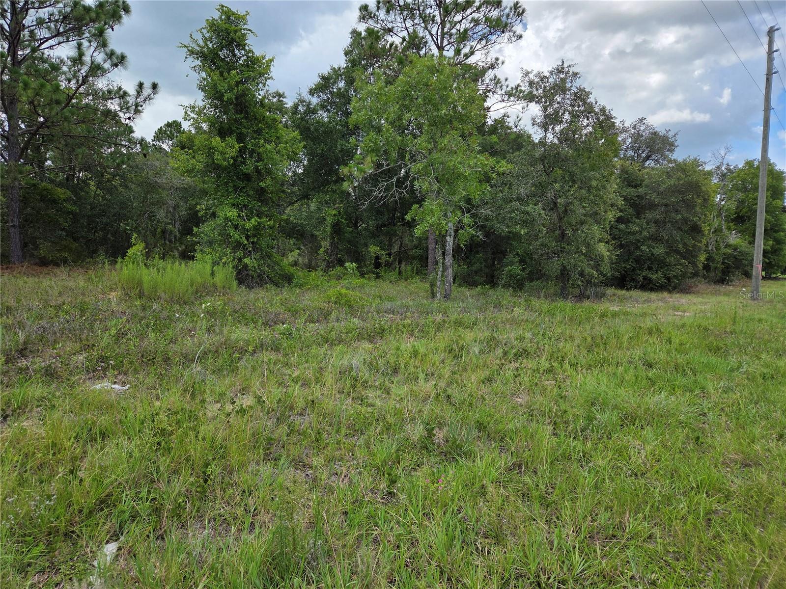 0000 Se State Road 121 Property Photo 1