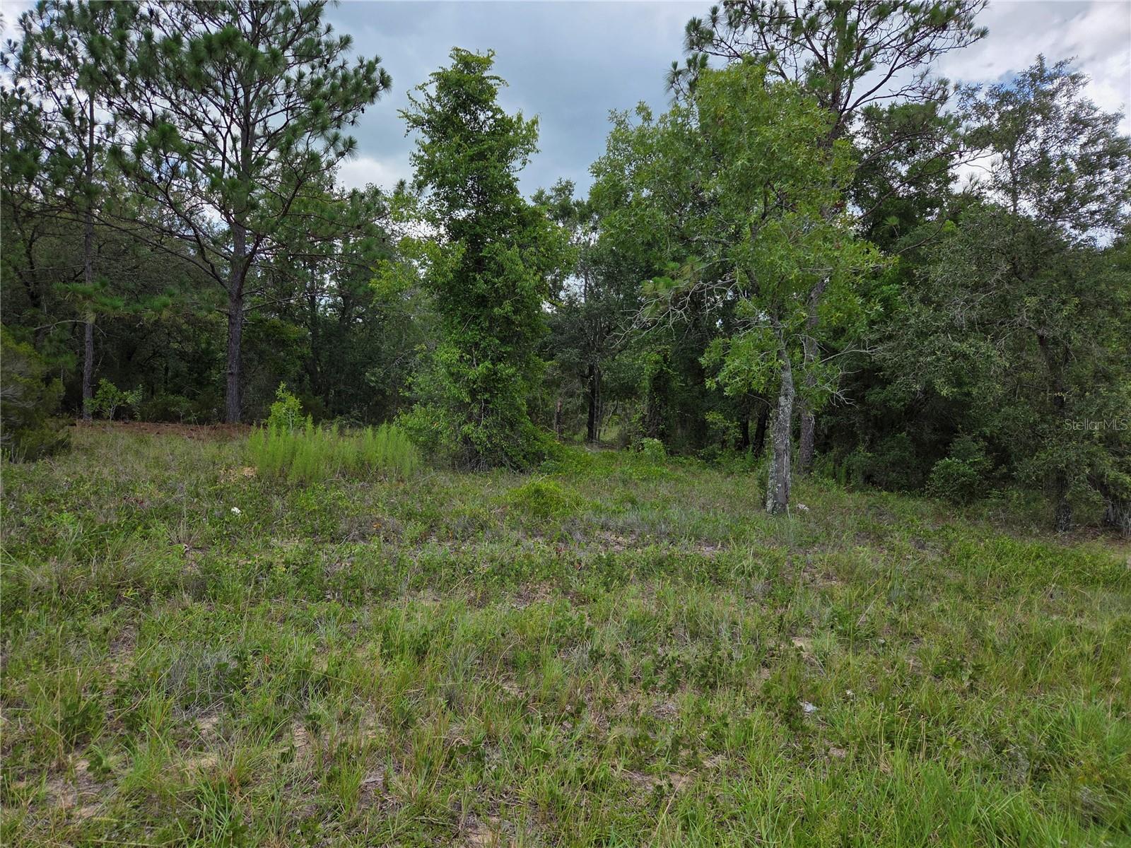 0000 Se State Road 121 Property Photo 2