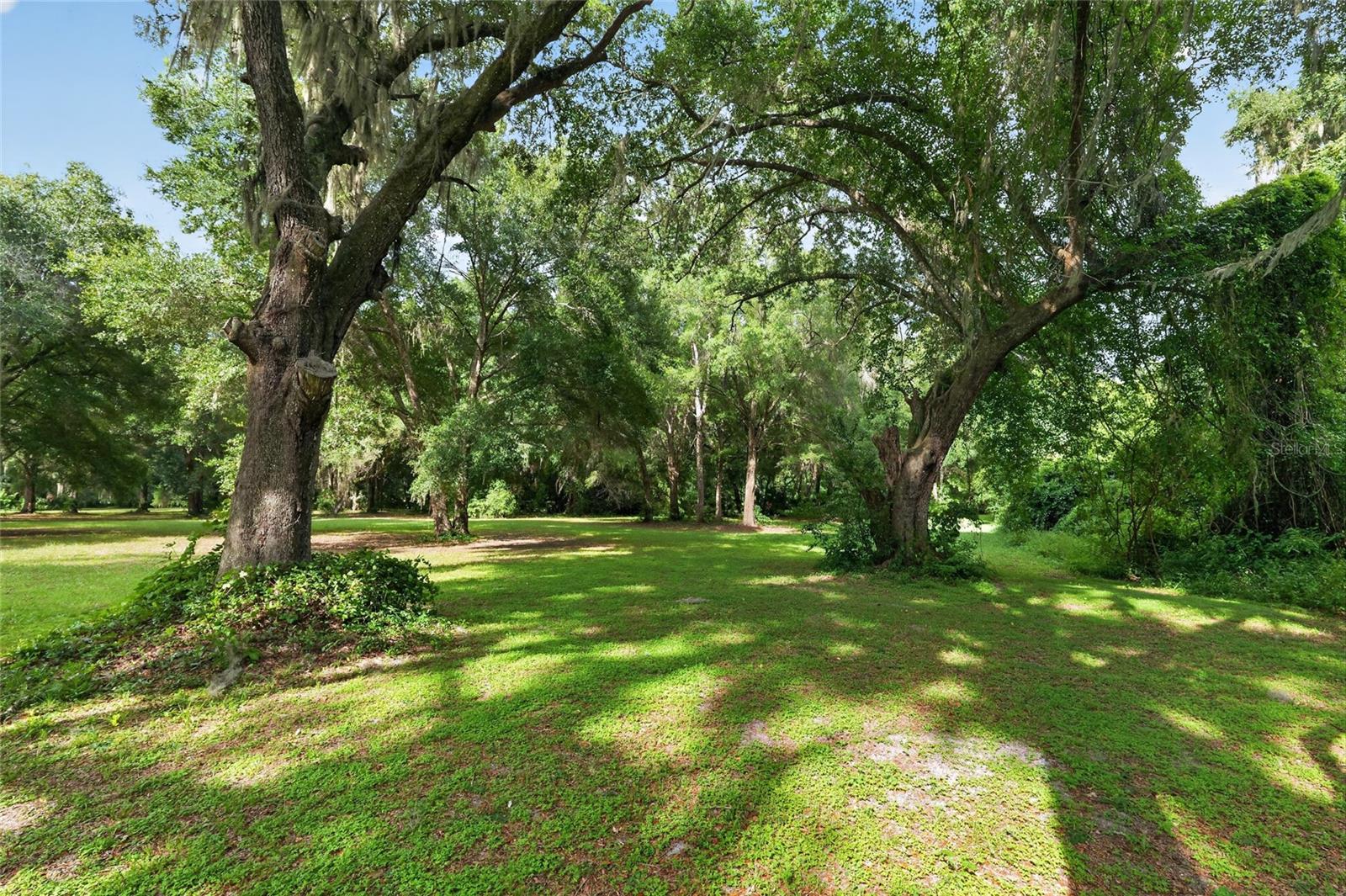 18741 N Us Highway 301 Property Photo 71
