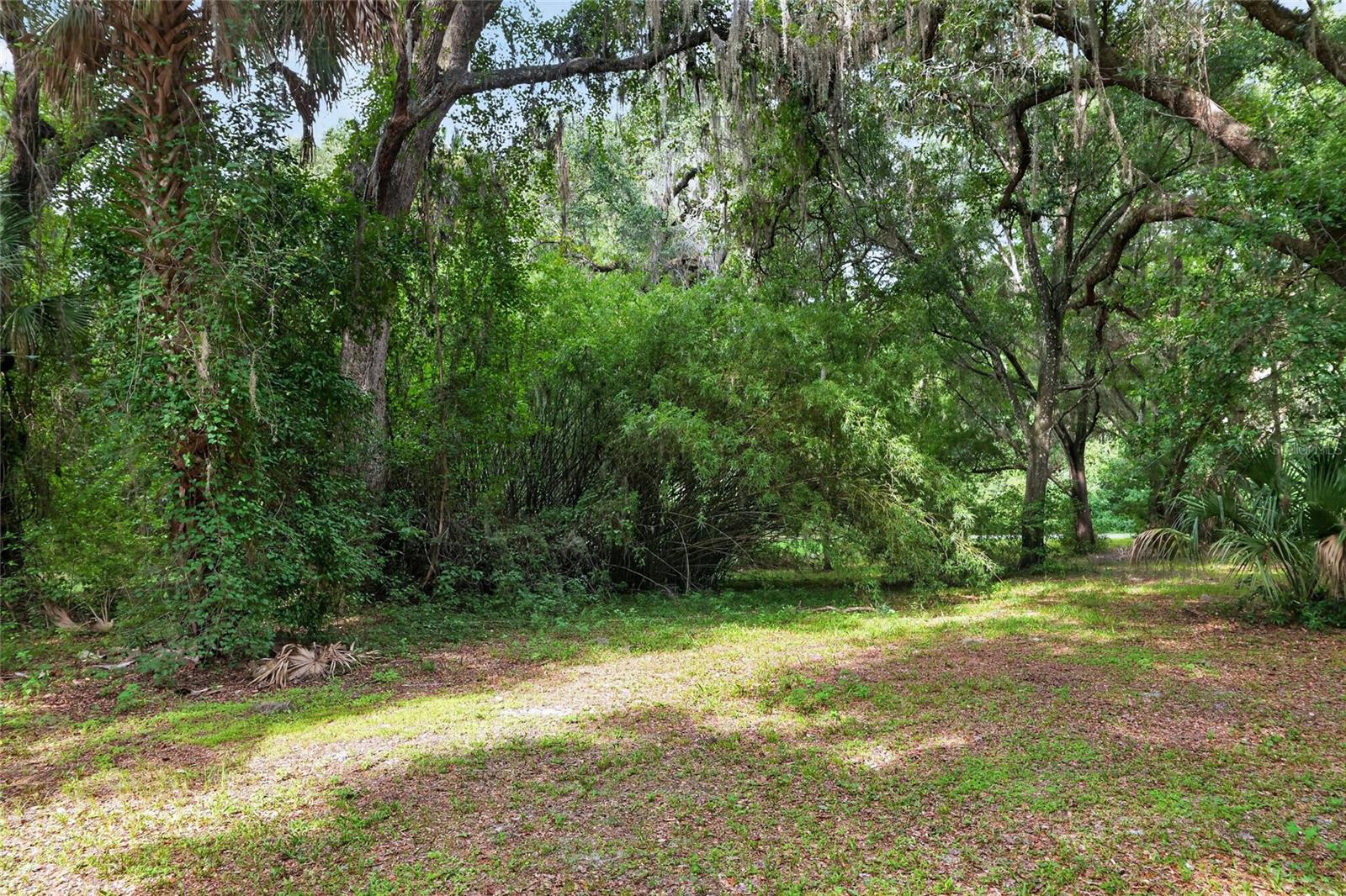 18741 N Us Highway 301 Property Photo 73
