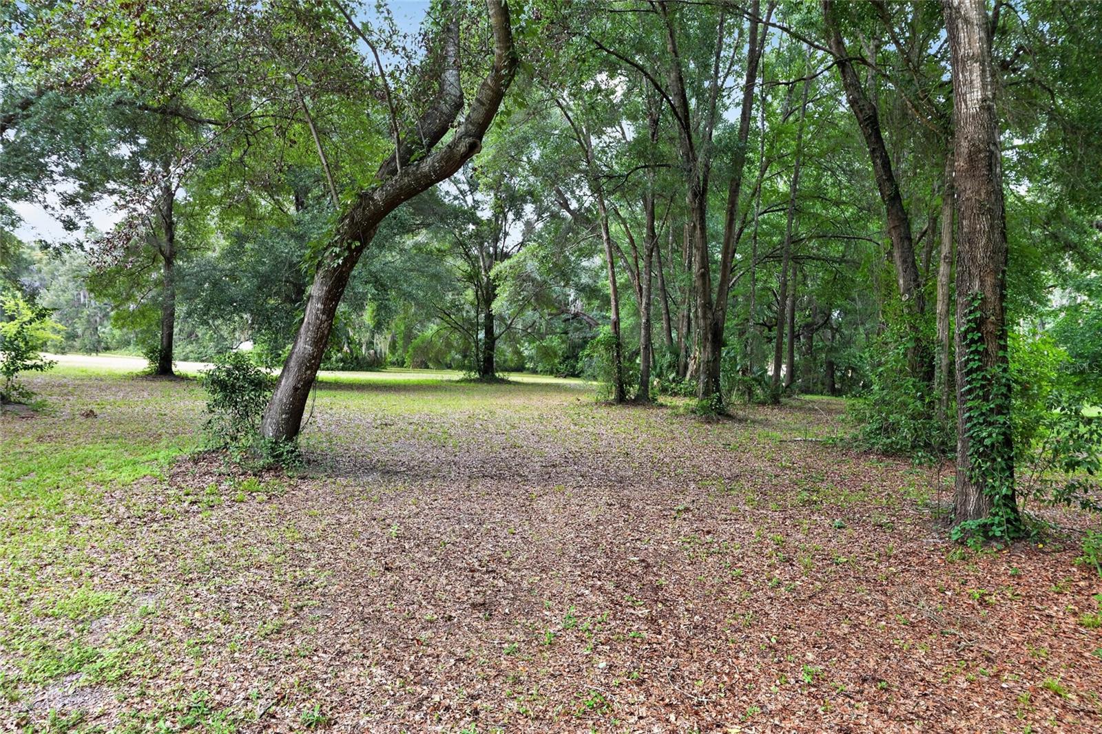 18741 N Us Highway 301 Property Photo 75
