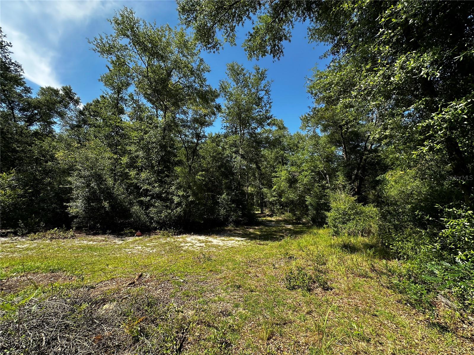 Tbd Ne 81st St Property Photo 4