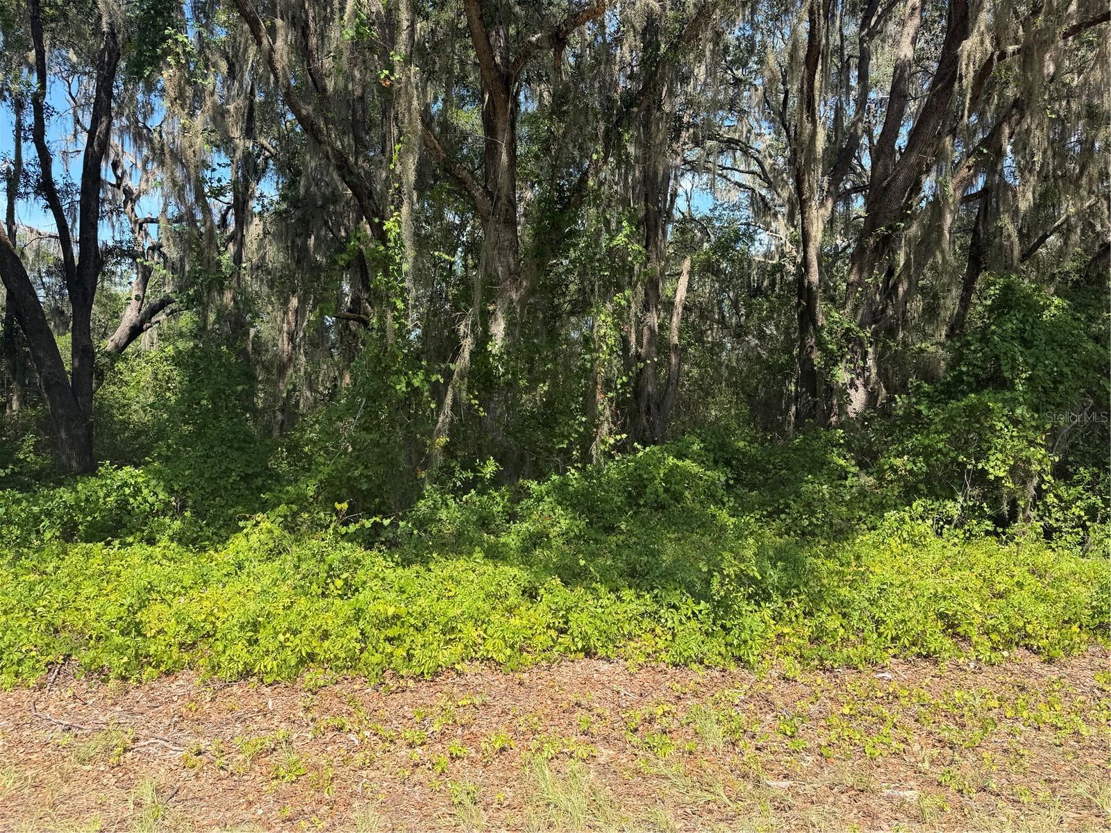 TBD GUAVA TER Property Photo 1