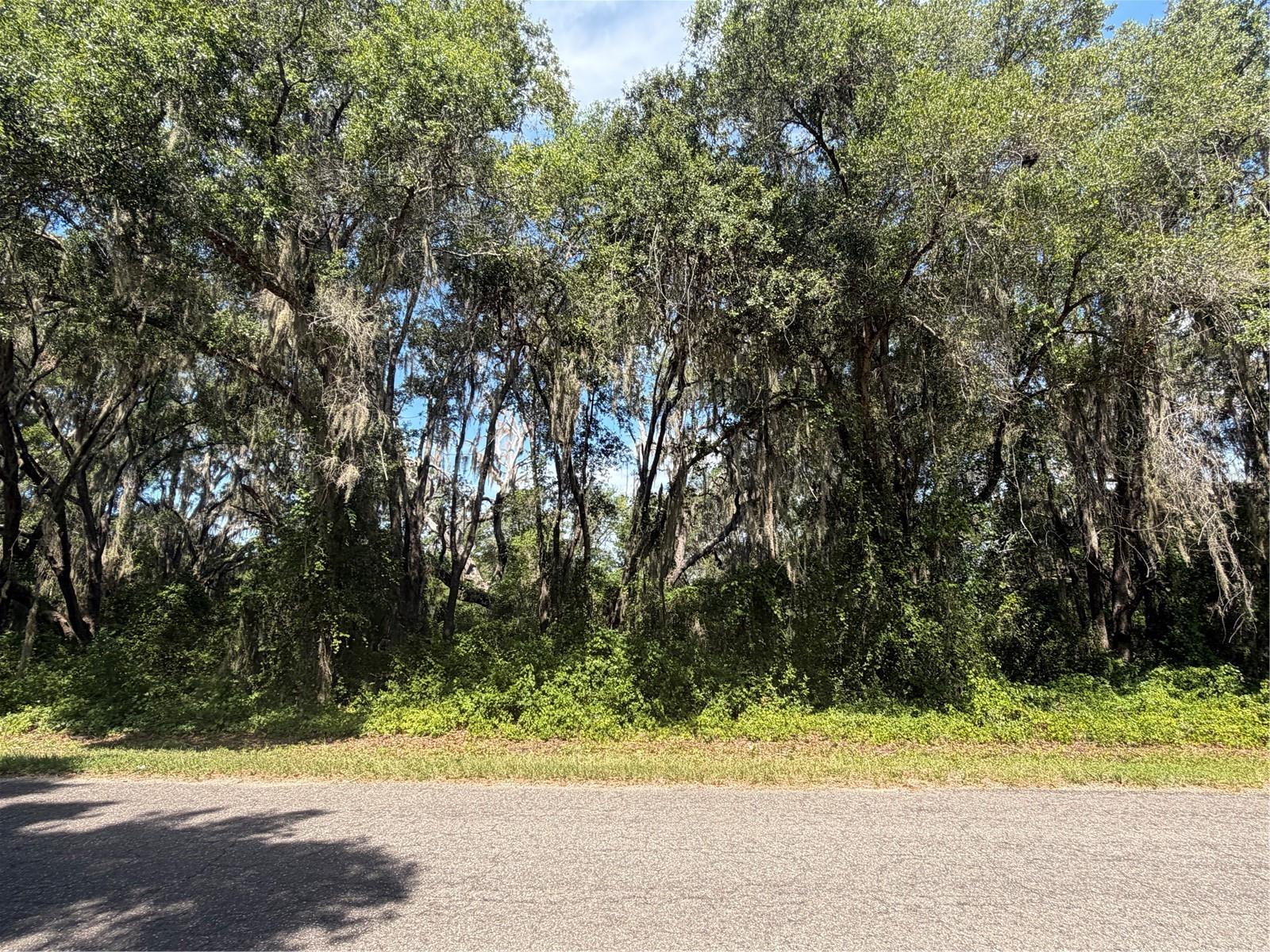 Tbd Guava Ter Property Photo 1