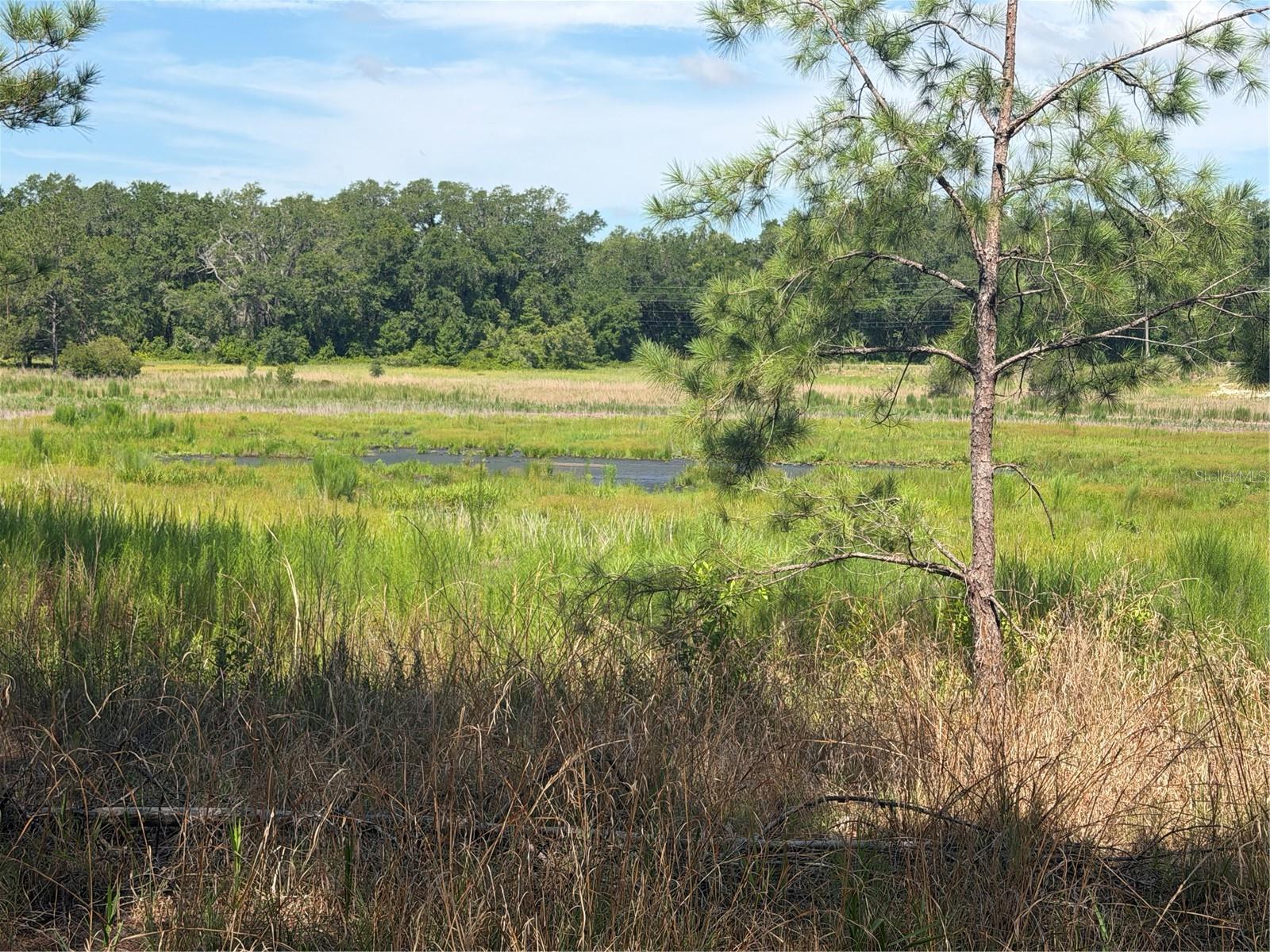 Tbd Guava Ter Property Photo 2