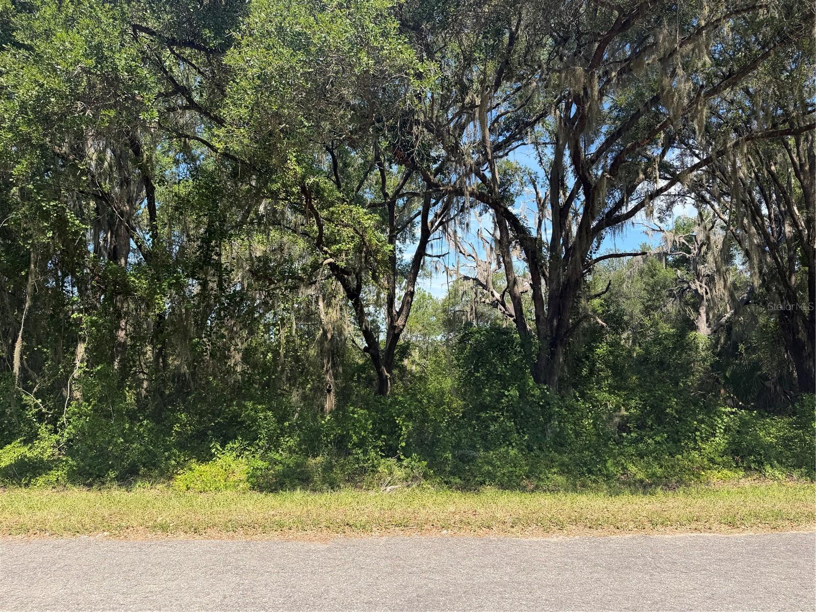 TBD GUAVA TER Property Photo 1