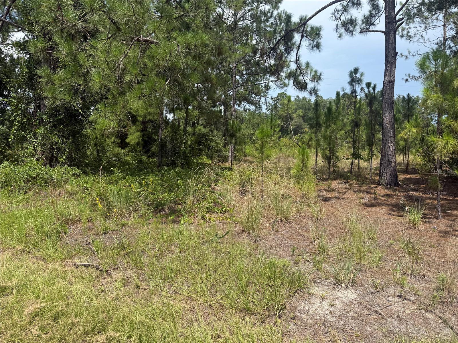 Locust Crs Property Photo 2