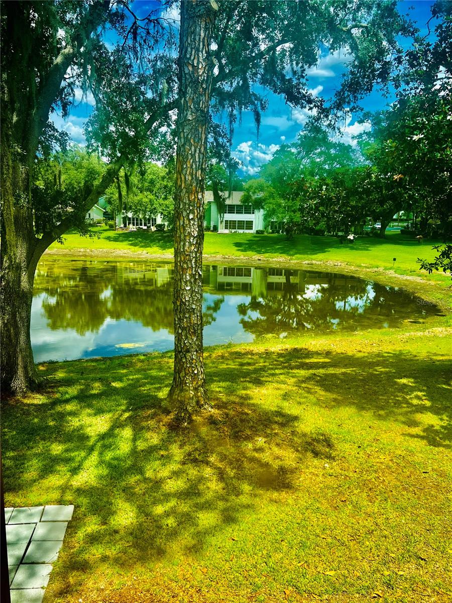 625 Midway Dr #b Property Photo 7