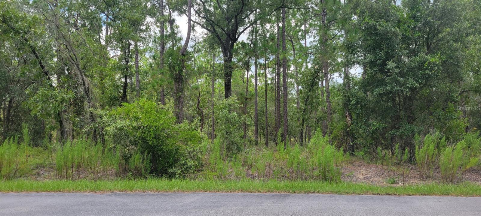0 NW CHESTNUT AVE Property Photo 1