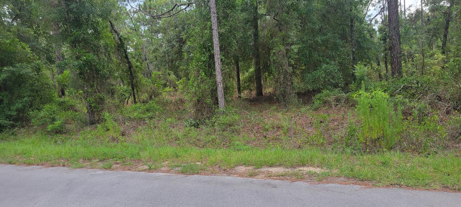 0 Nw Highview Ave Property Photo 2