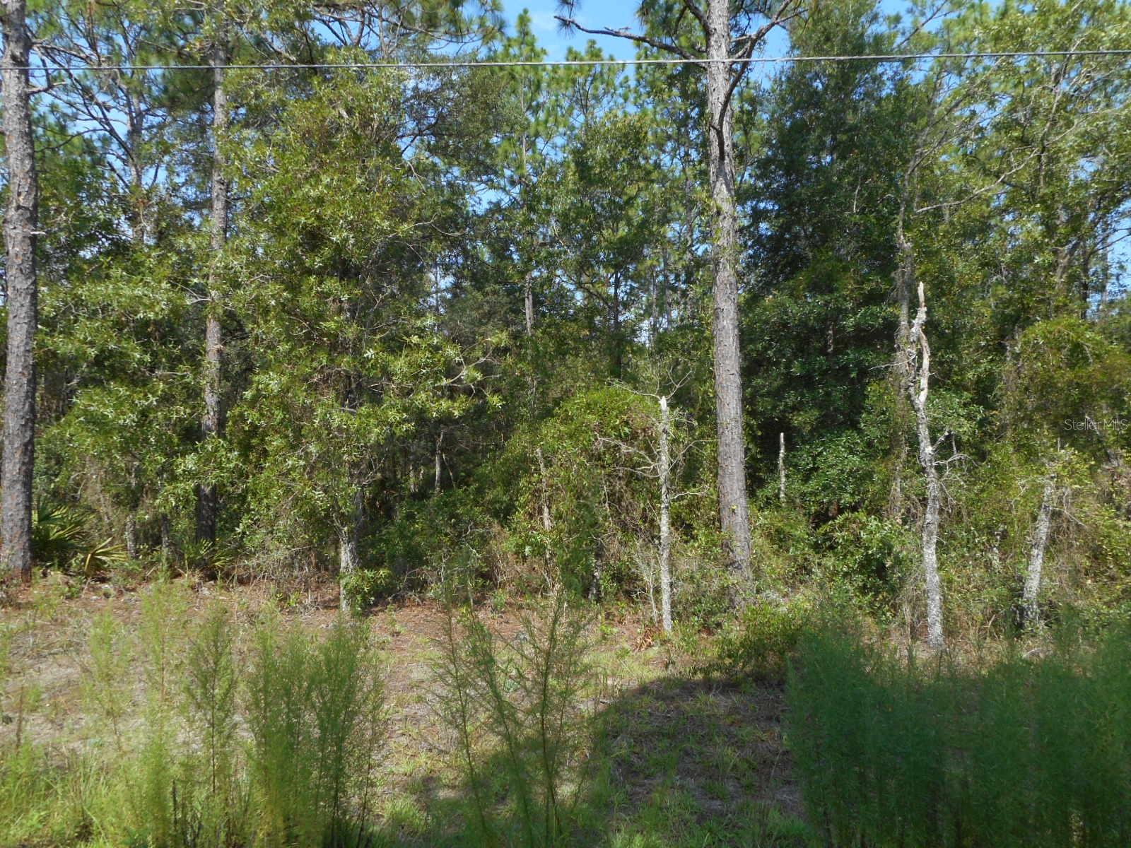 136 TER SW Property Photo 1