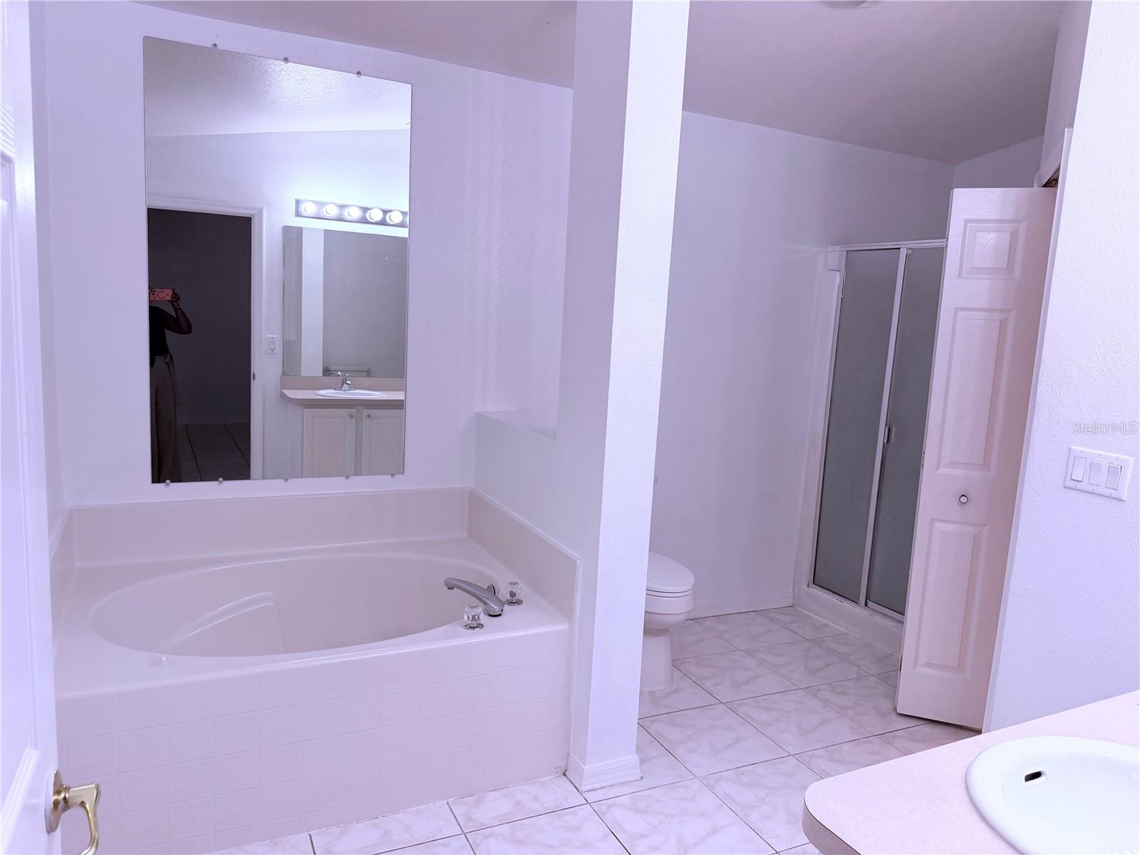 161 China Berry Cir Property Photo 4