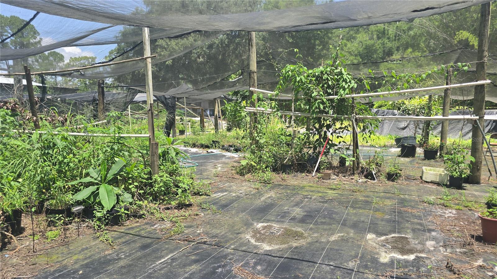 135 Starlight Rd Property Photo 36
