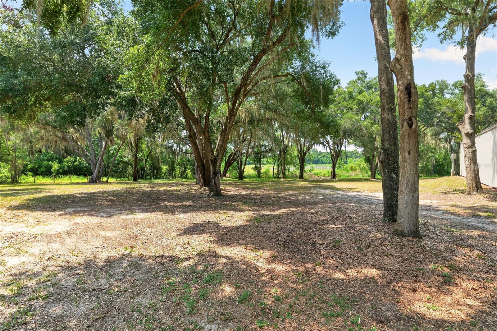 12499 E Highway 25 Property Photo 96