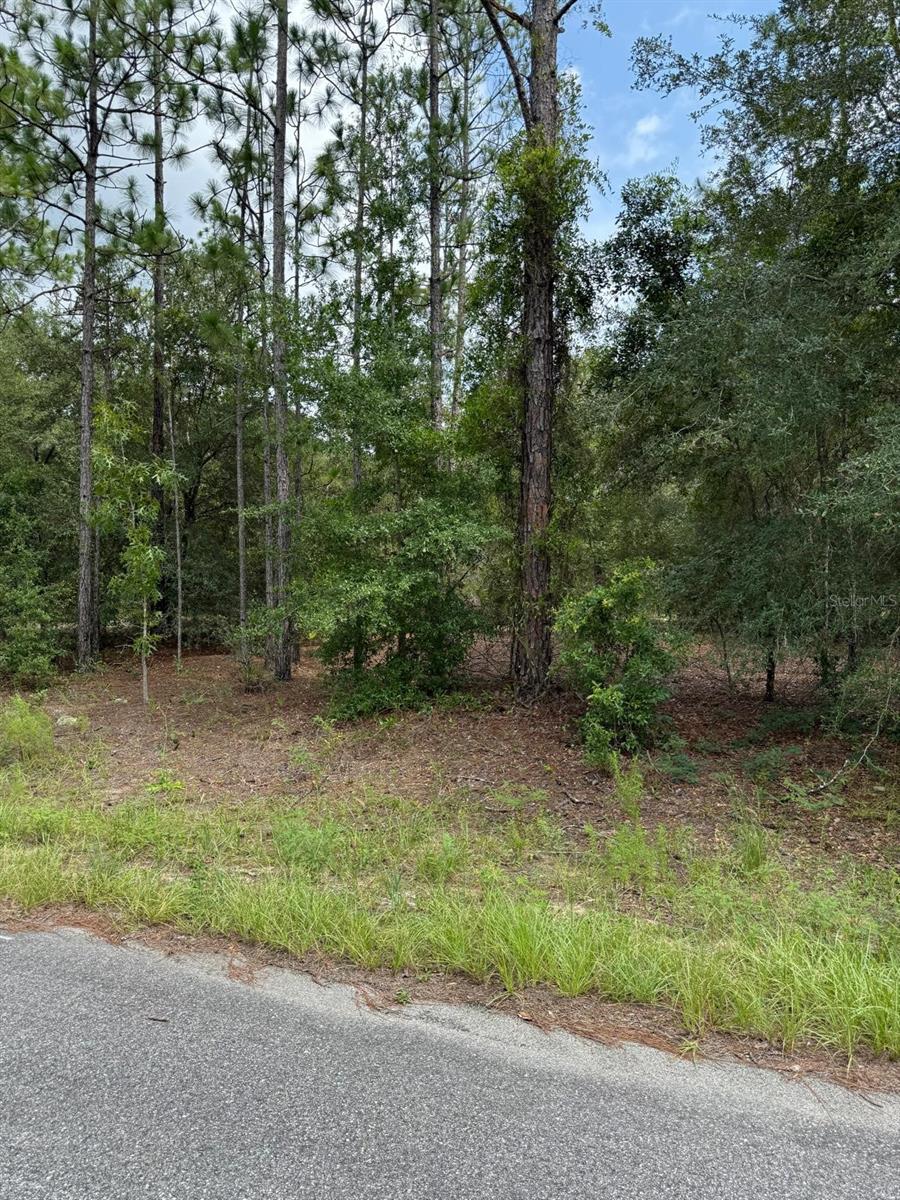 6461 N Elnora Way Property Photo 2