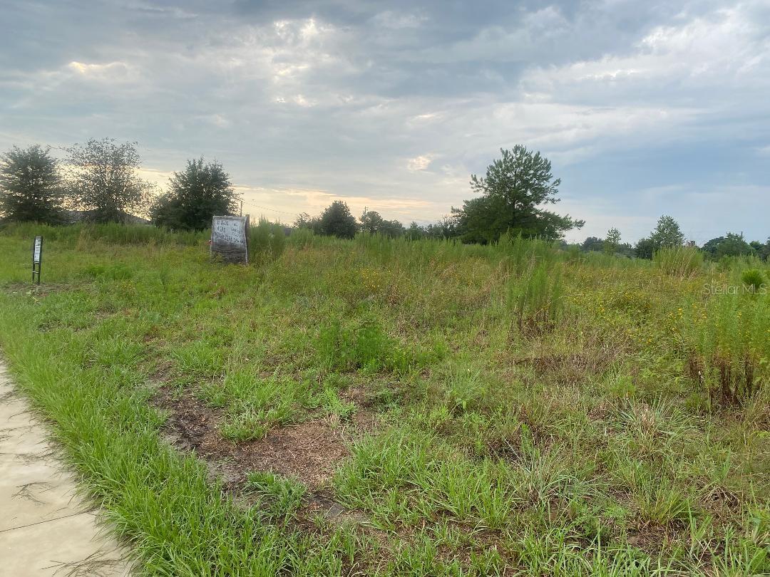 241 Chestnut Rd Property Photo 4