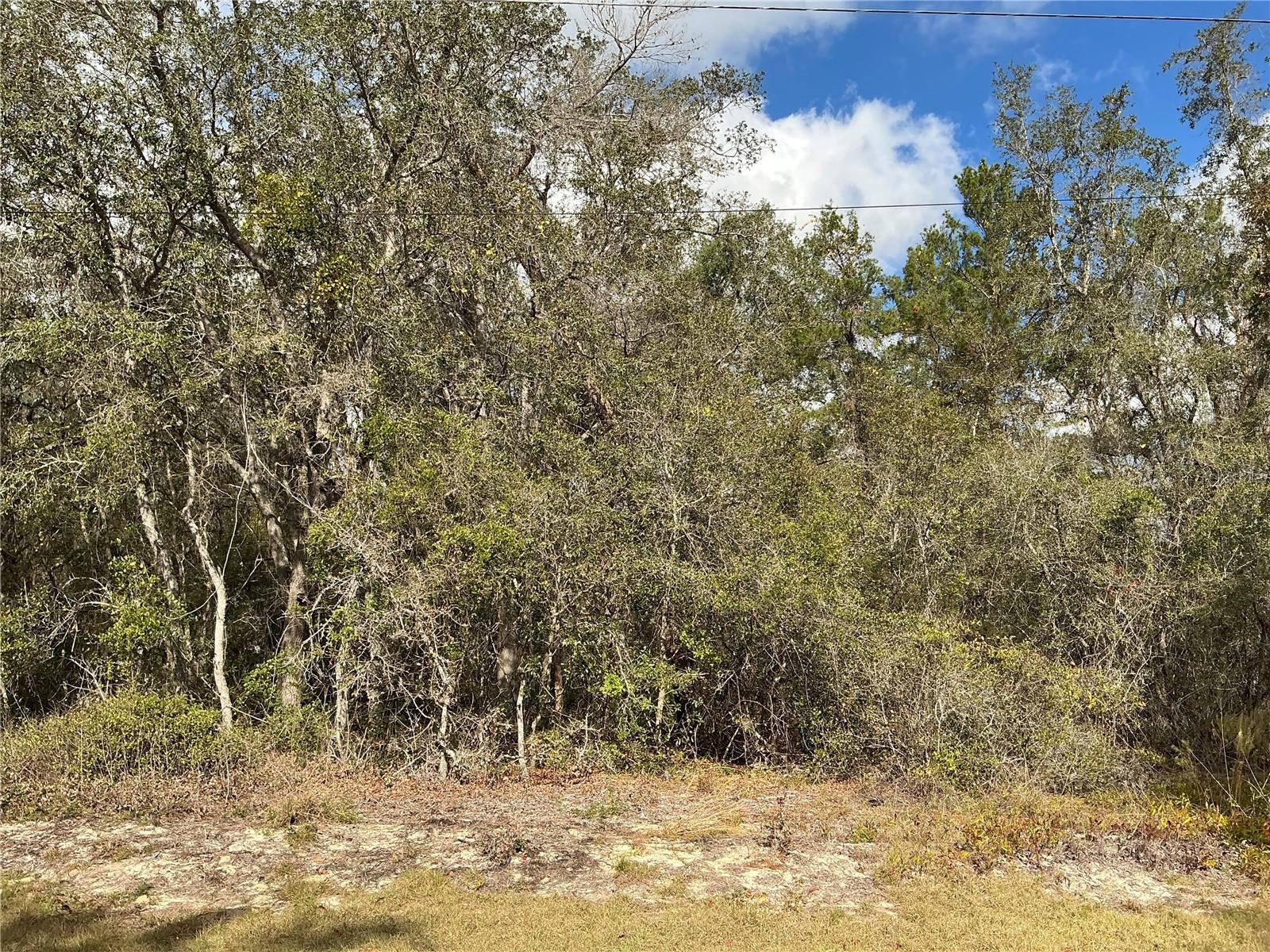 Lot 8 Fisher Trace Property Photo 1