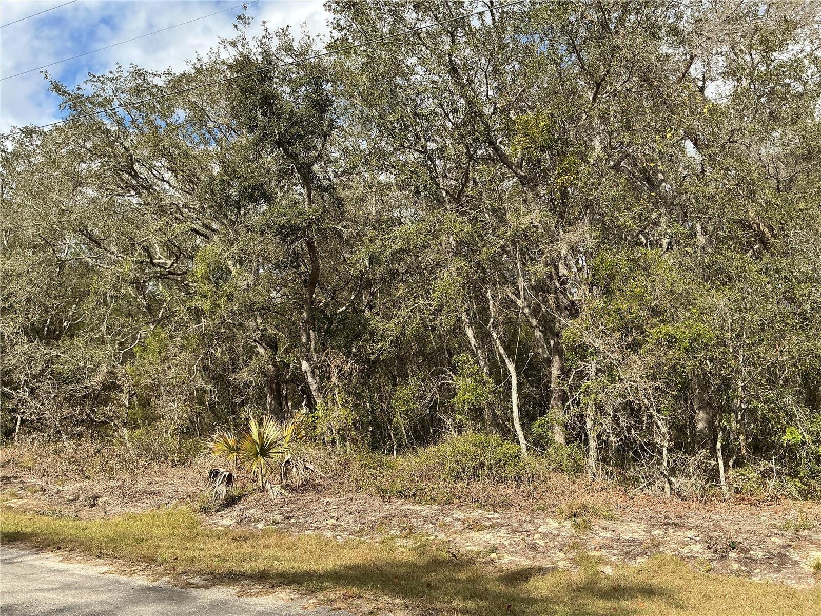 Lot 8 Fisher Trace Property Photo 4