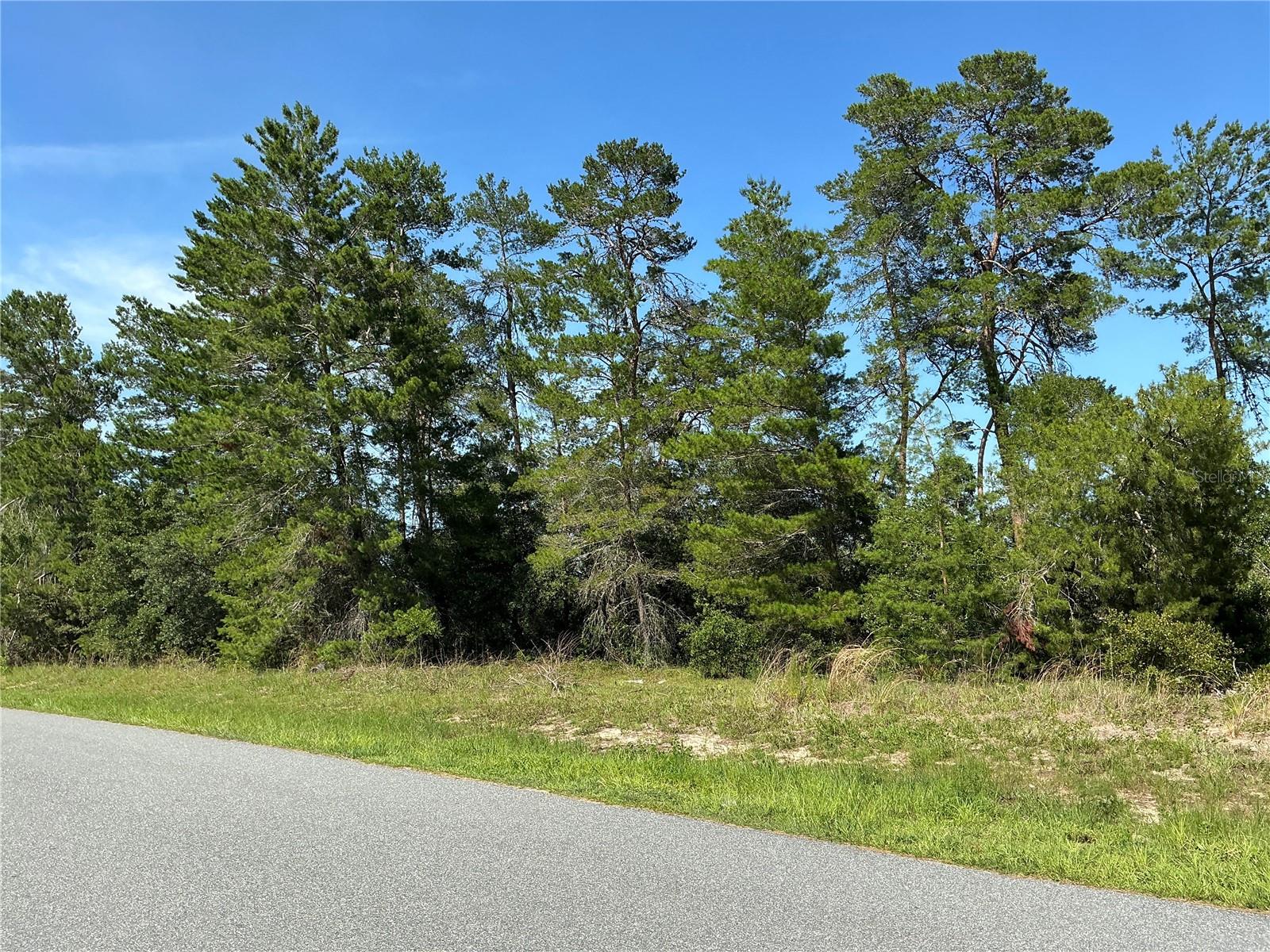 Tbd Sw 35th Avenue Rd Property Photo 3