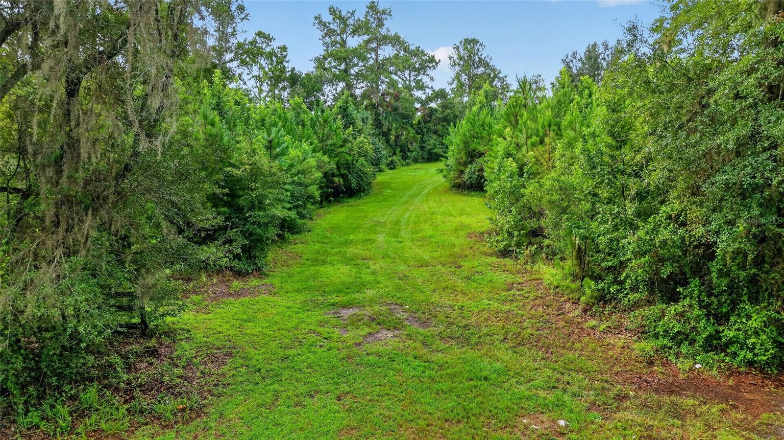 15958 W Hwy 318 Property Photo 2