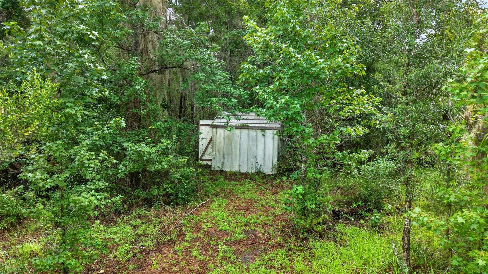 15958 W Hwy 318 Property Photo 6