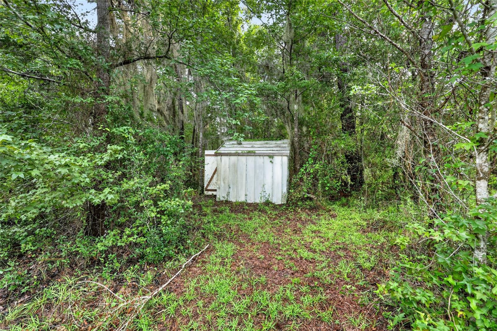 15958 W Hwy 318 Property Photo 23