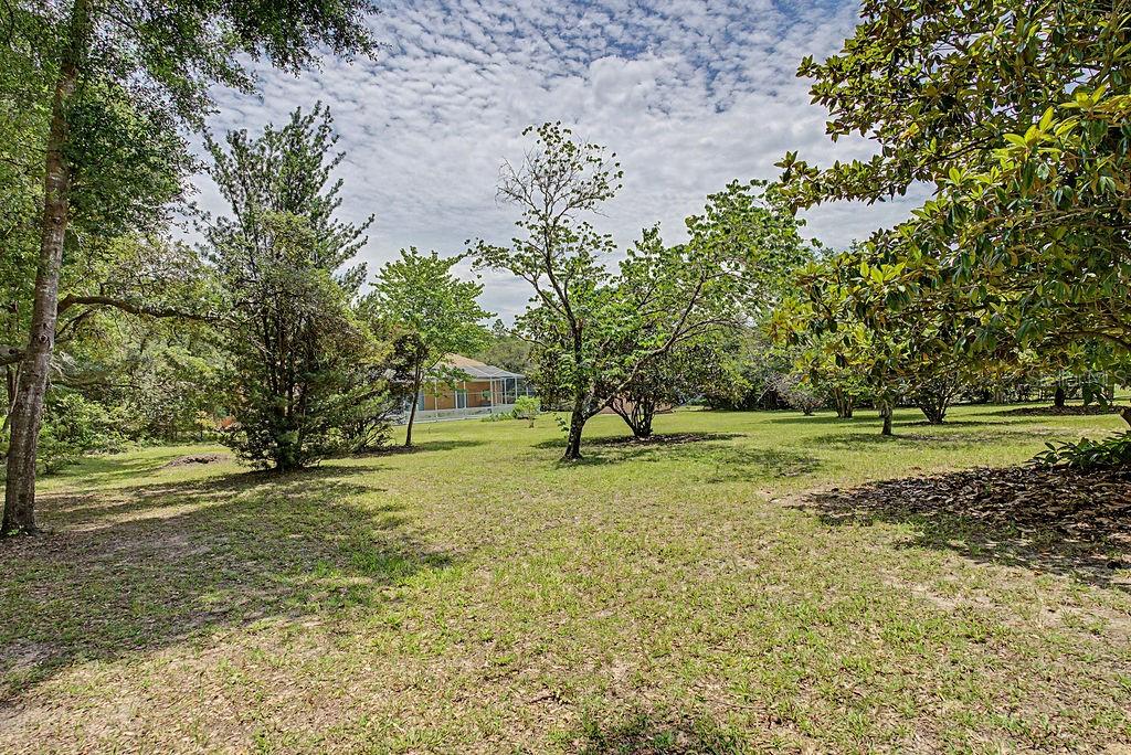 20811 Sw 81st Loop Property Photo 78