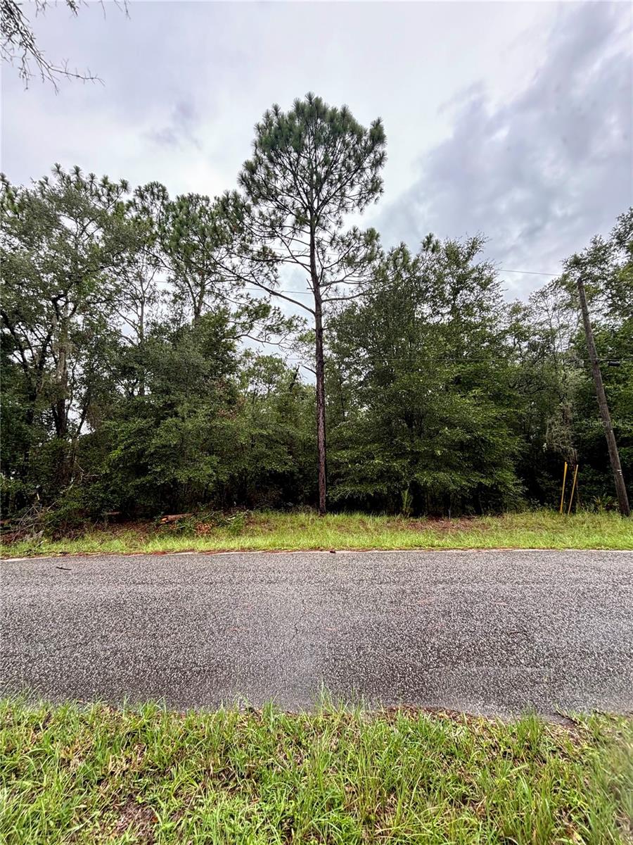 Lot 28 Sw 206 Cir Property Photo 1