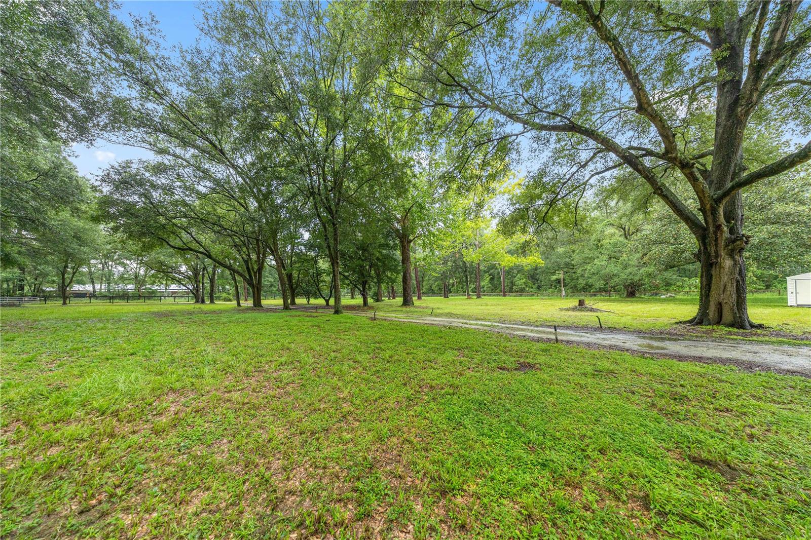 13250 Nw 160th Ave Property Photo 51