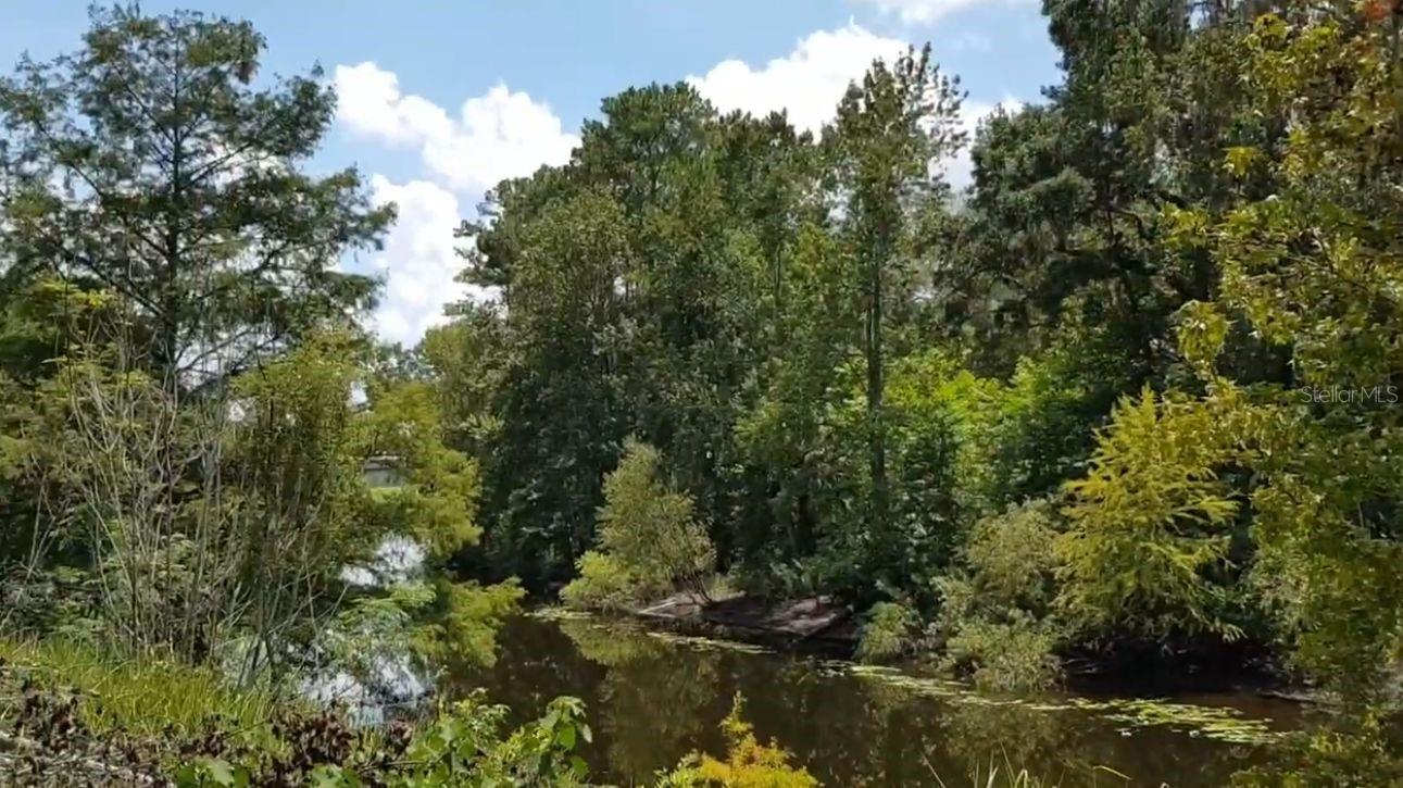 9438 Se Hwy 464c Se Property Photo 5