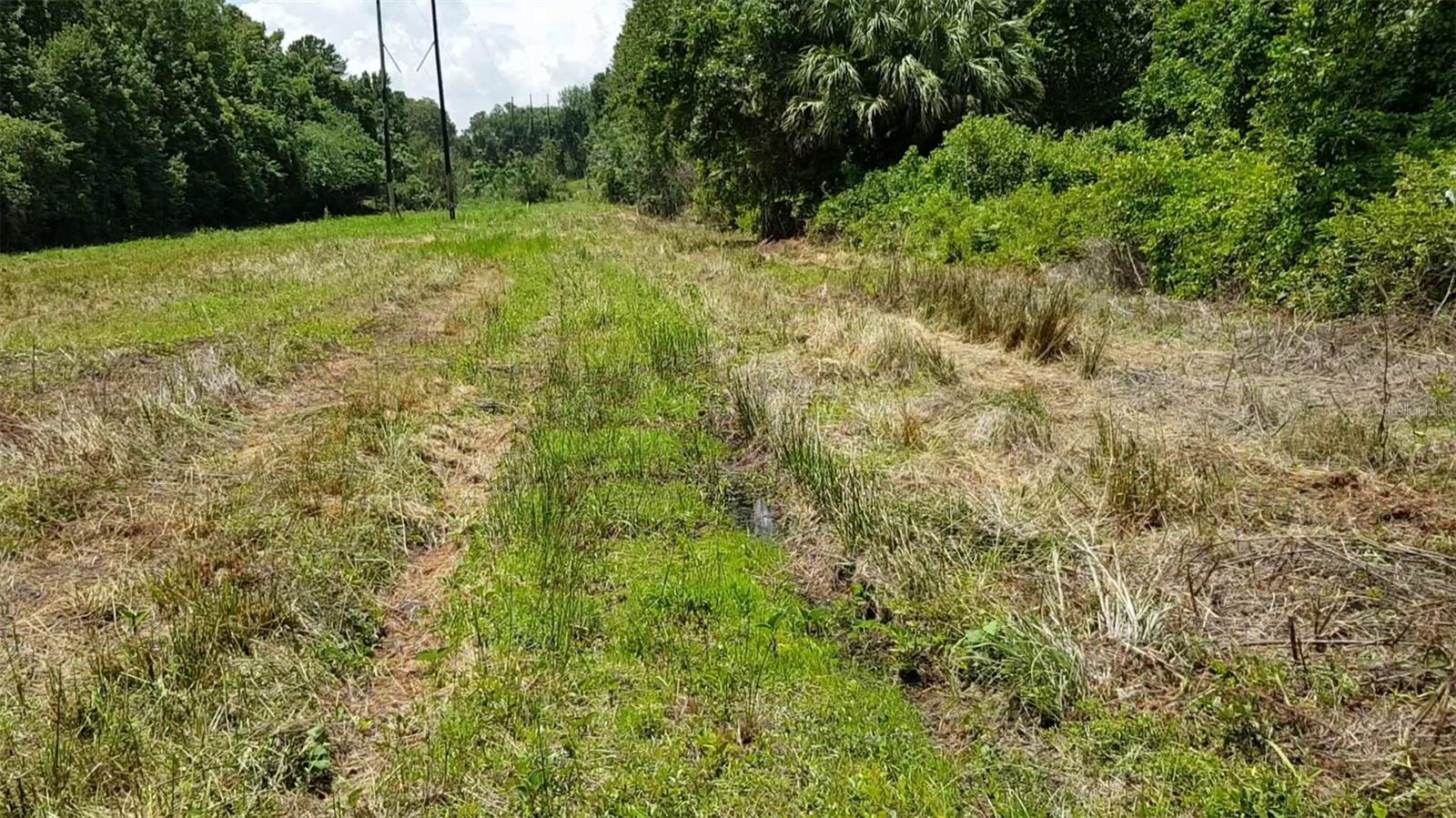 9438 Se Hwy 464c Se Property Photo 10