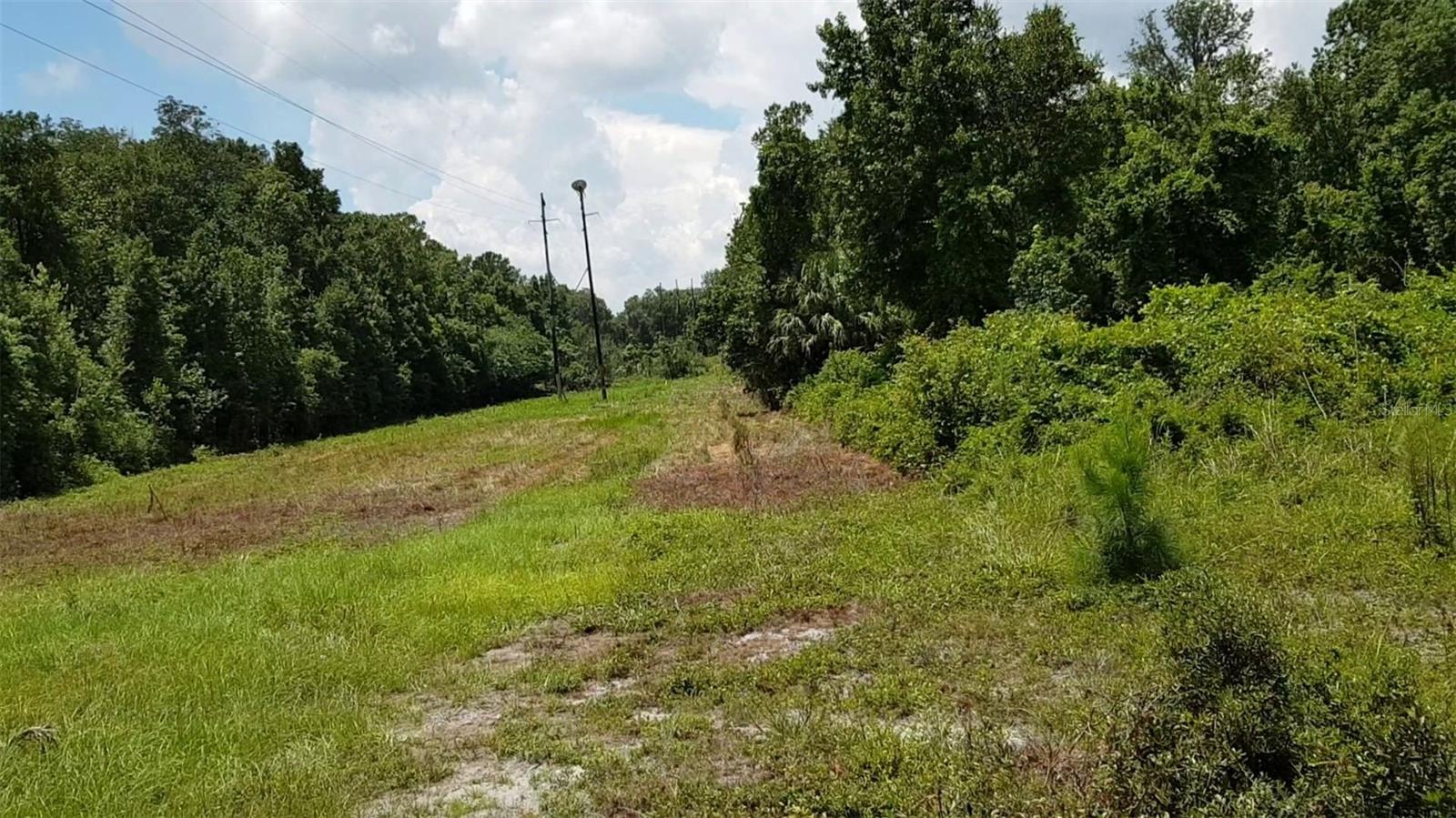 9438 Se Hwy 464c Se Property Photo 12