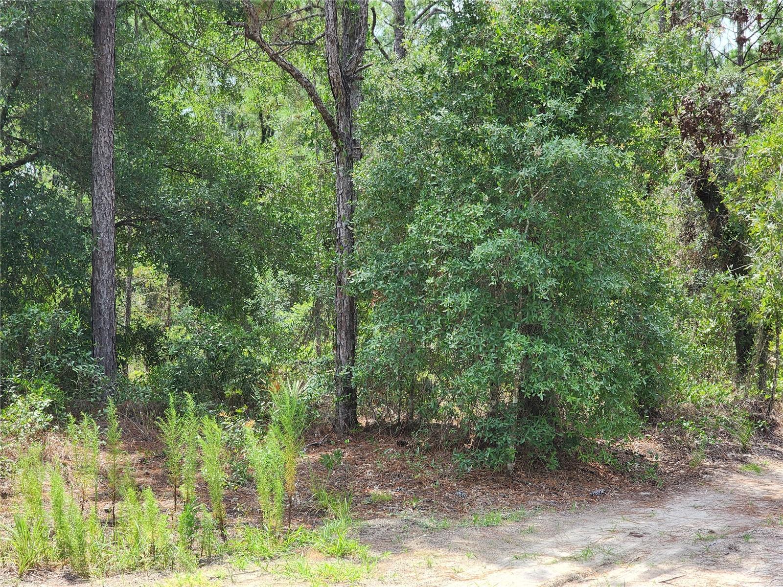 10920 Sw 105th St Property Photo 4
