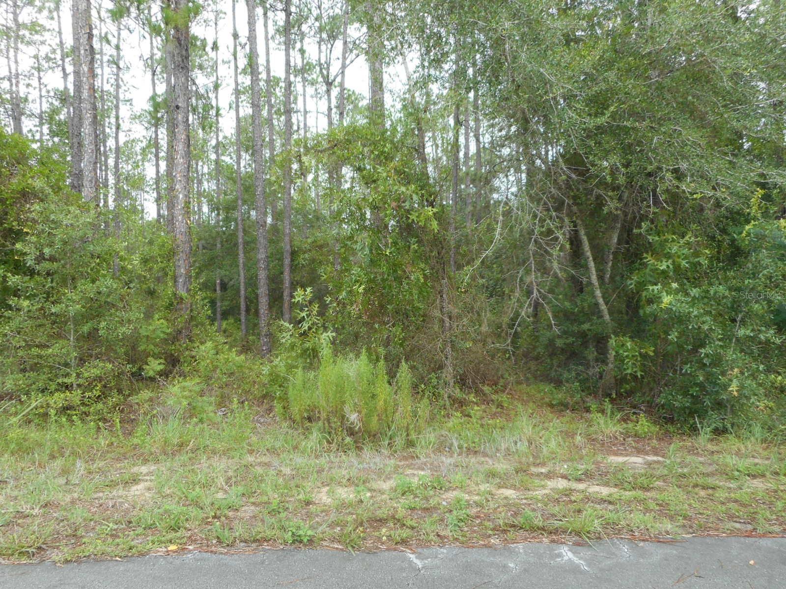 Lot 5 SW SOUTHVIEW CT Property Photo 1