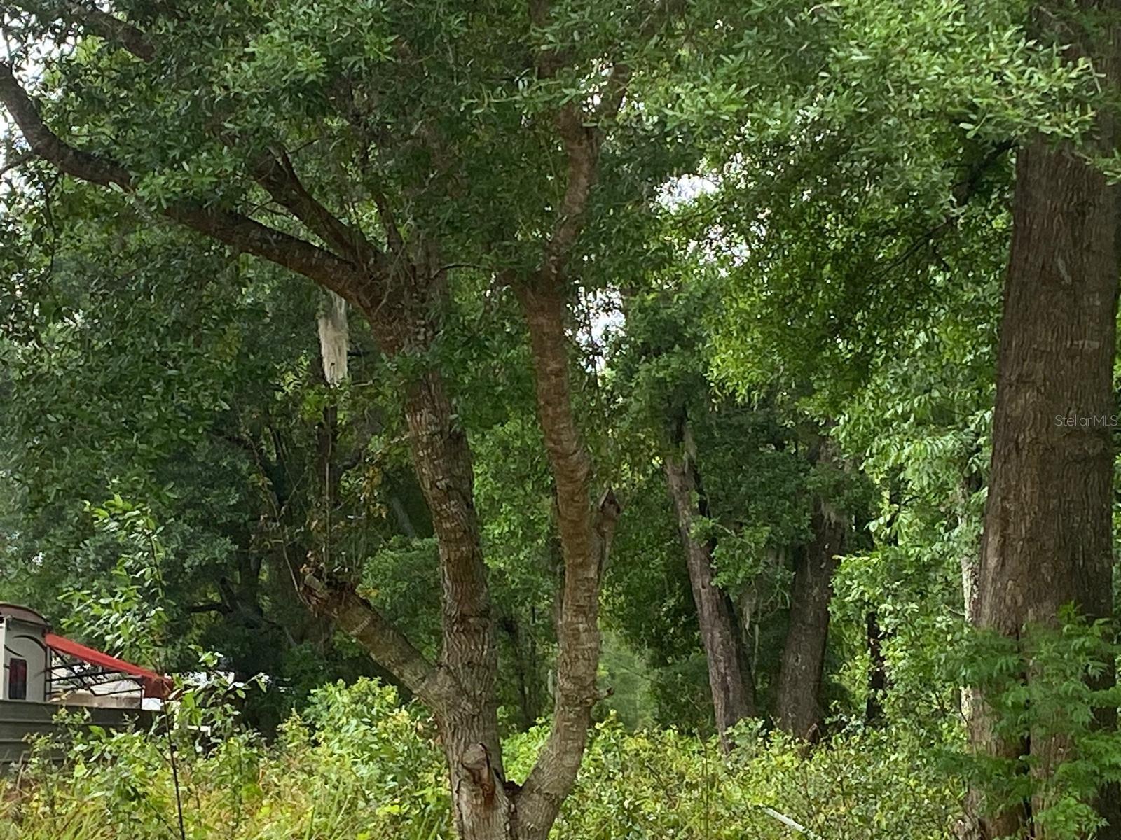 Tbd Dogwood Drive Pass Property Photo 3