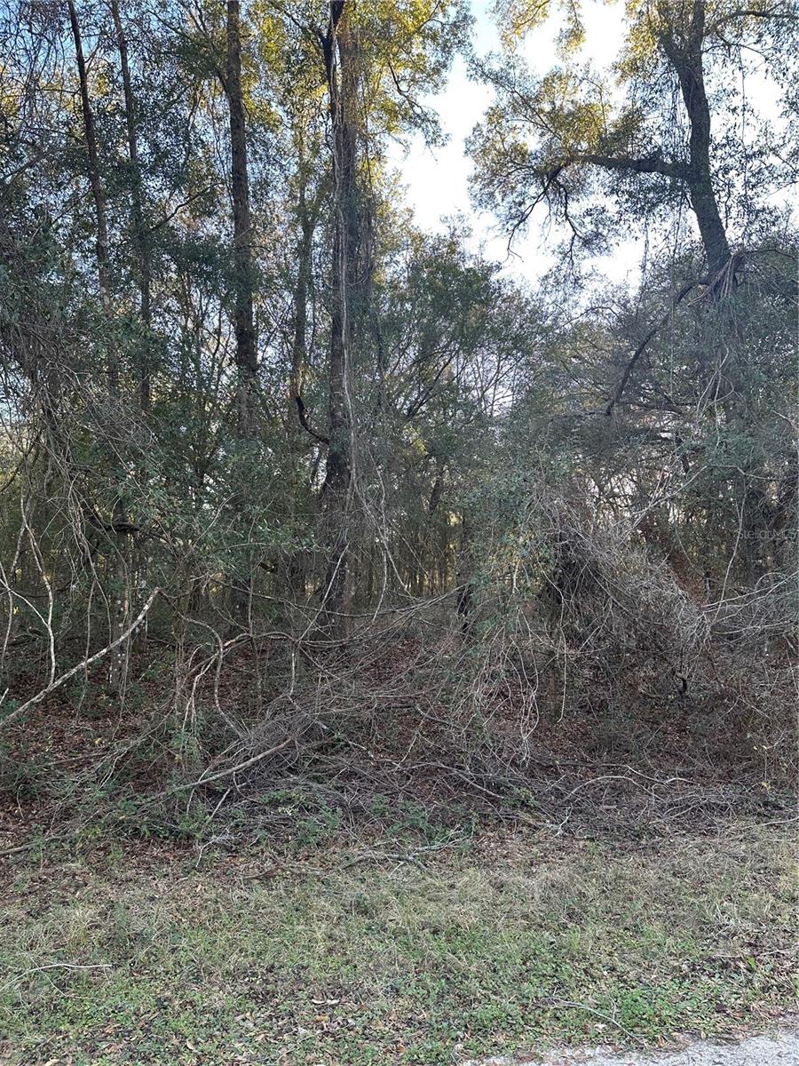 8276 N Elida Ave Property Photo 5