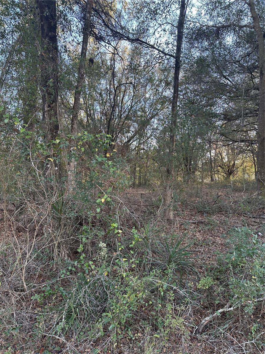 8276 N Elida Ave Property Photo 6