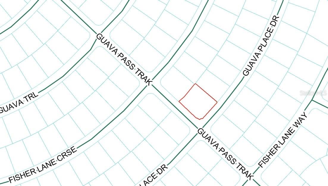 Guava Place Dr Property Photo 1