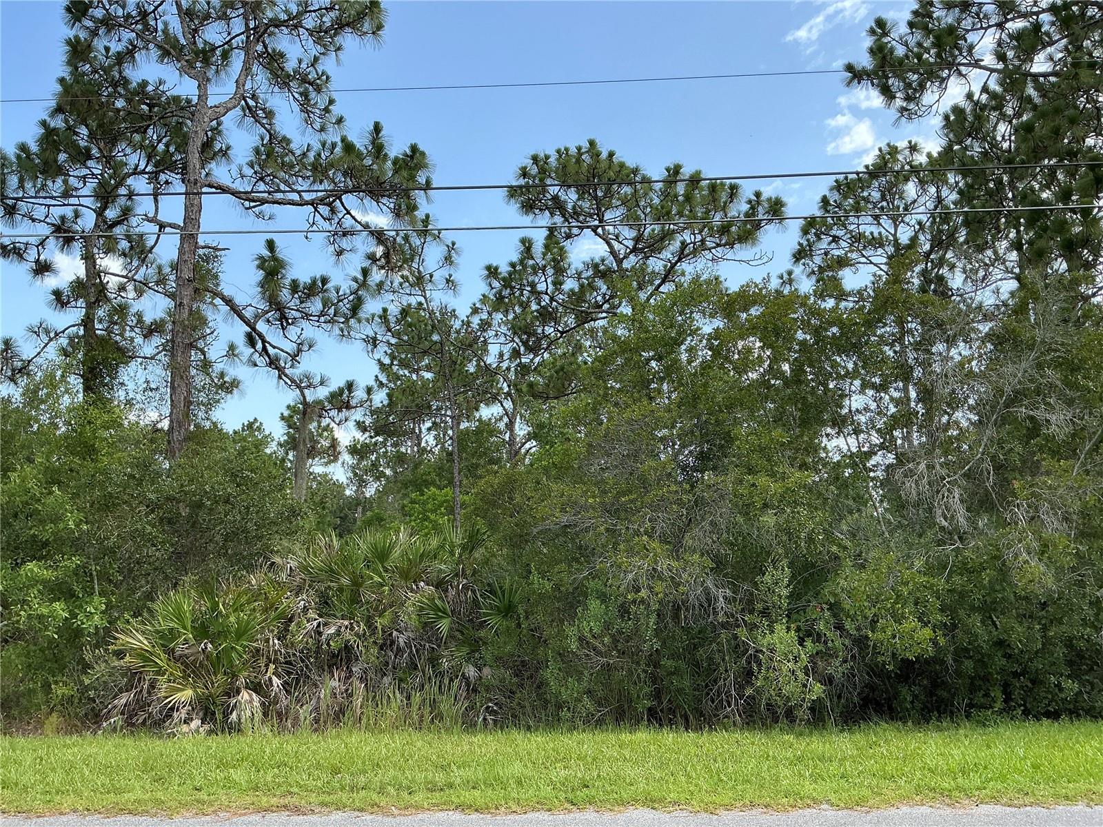 LOT 21 PEABODY ST Property Photo 1