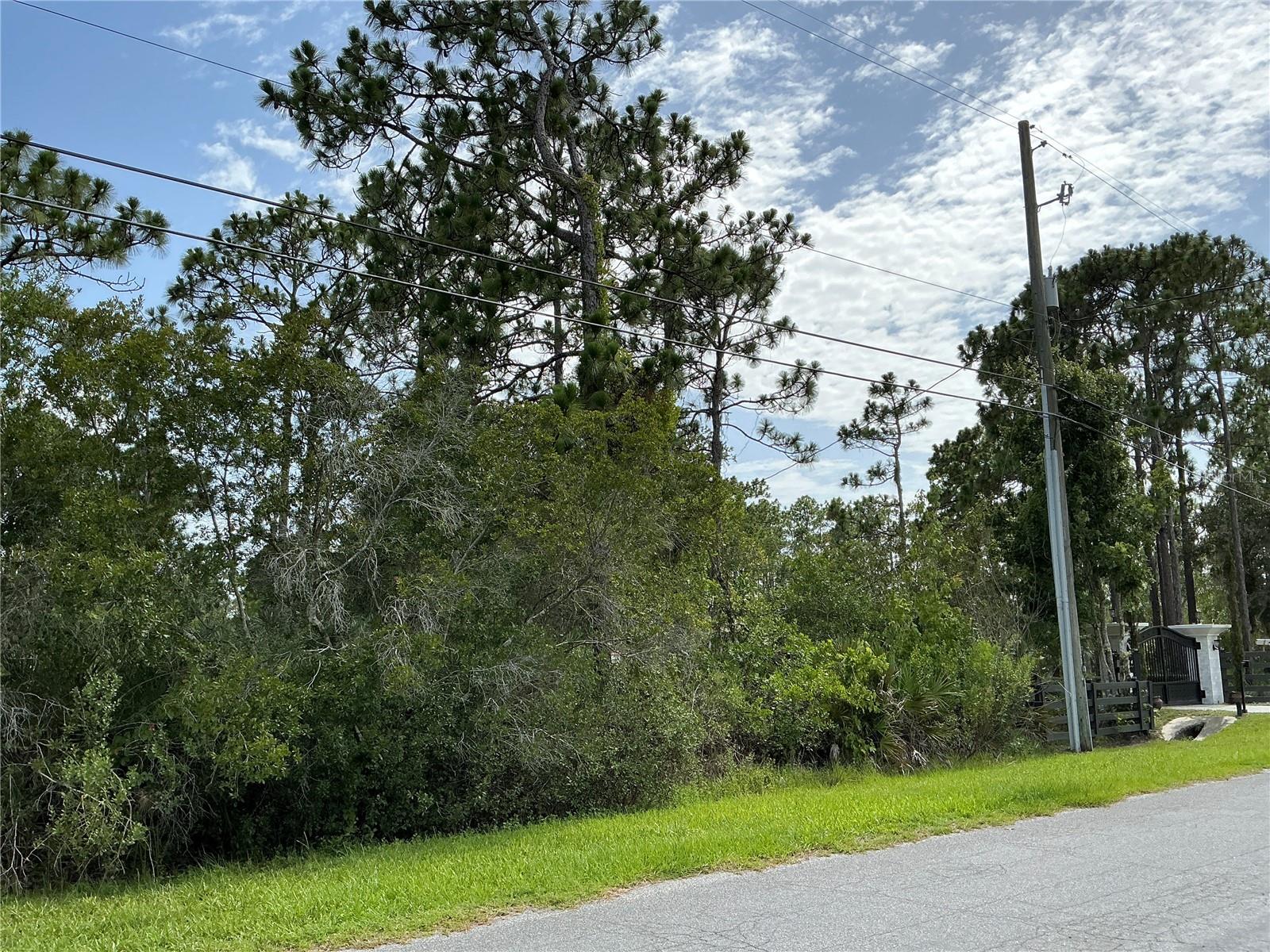 Lot 21 Peabody St Property Photo 4