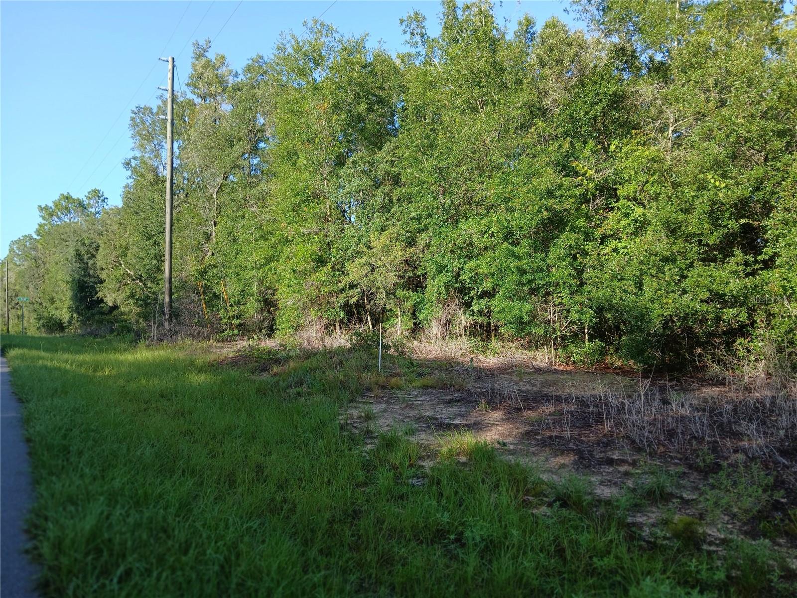 10762 N Academy Dr Property Photo