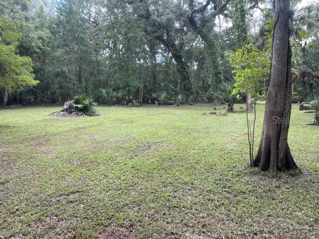 6409 E River Rd Property Photo 6