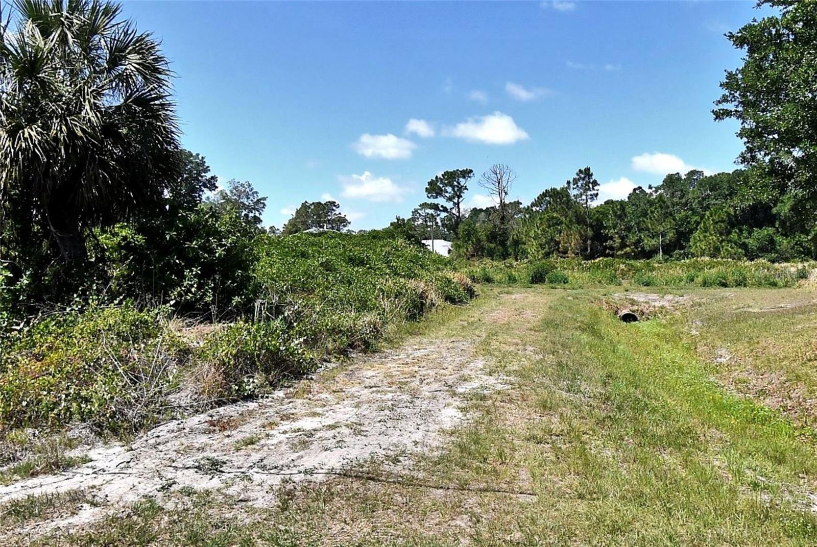 Constitution Dr Property Photo 2