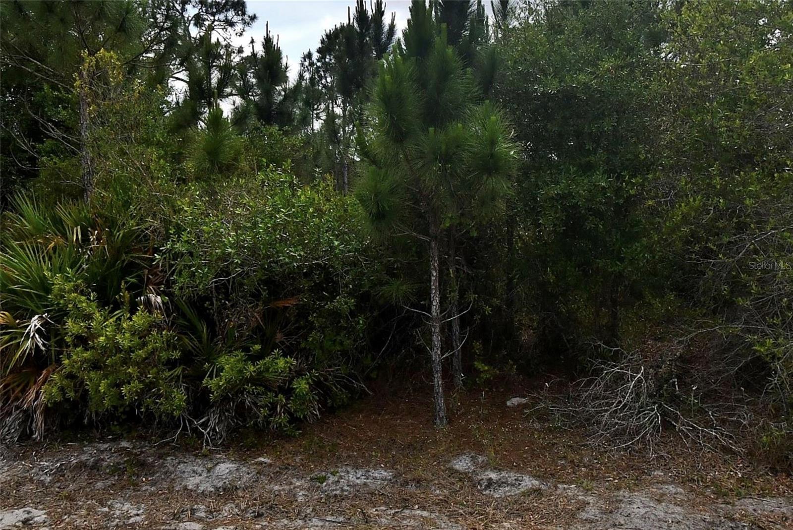 Tbd Simca Ln Property Photo 2