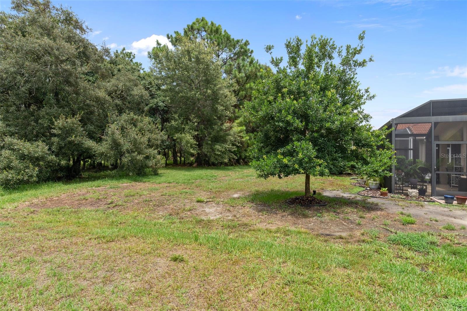 1283 W Diamond Shore Loop Property Photo 48